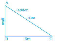 Page 83 Chapter 3 Class 8th NCERT Exemplar